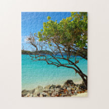 Tropisches Puzzlespiel Zimt-Bucht-Johannes USVI