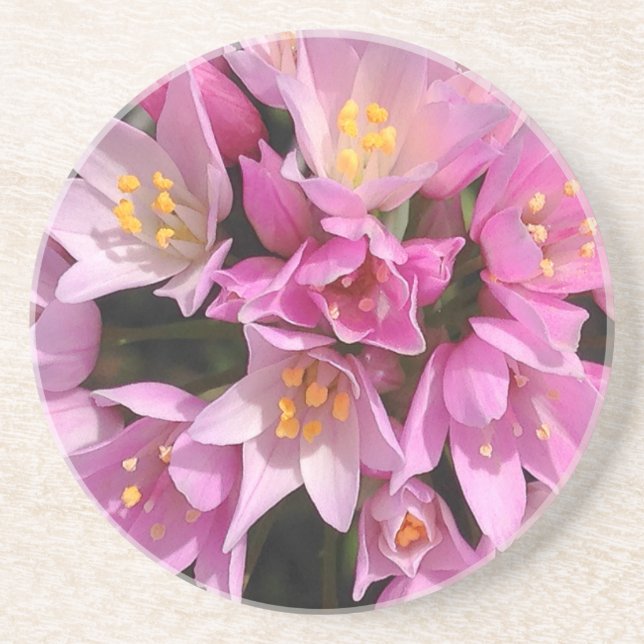 Tropisches Rosa und gelbe Blumen Getränkeuntersetzer (Vorne)
