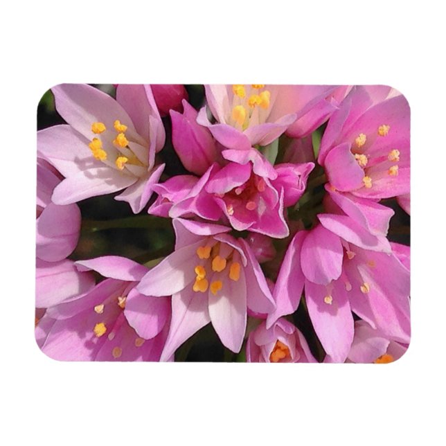Tropisches Rosa und gelbe Blumen Magnet (Horizontal)