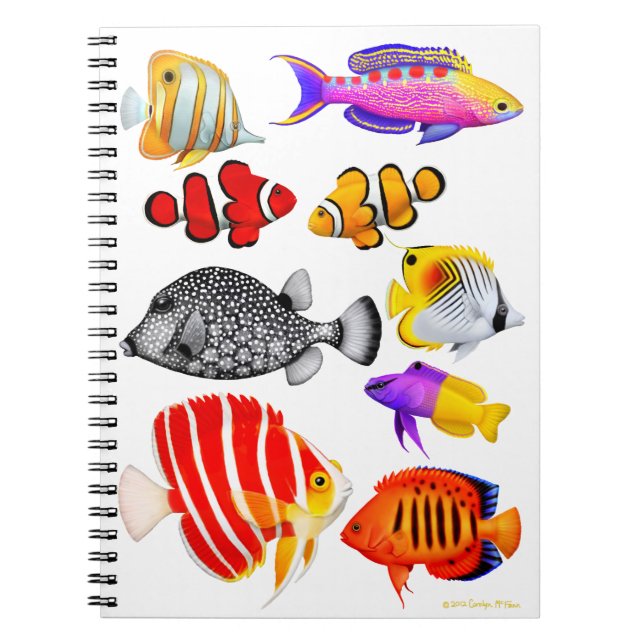 Tropisches Salzwasser-Riff-Fisch-Notizbuch Notizblock (Vorderseite)