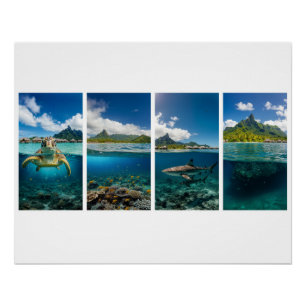 Tropisches Split-View-Poster – Unterwasser und Ins Poster