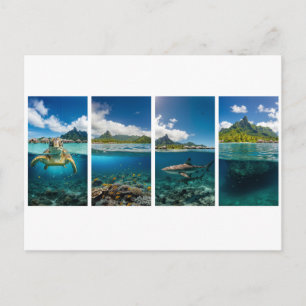 Tropisches Split-View-Poster – Unterwasser und Ins Postkarte