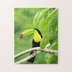 Tropisches Toucan-Puzzle