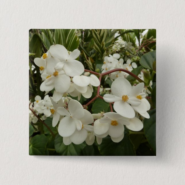 Tropisches Weißes Begonia Floral Button (Vorderseite)
