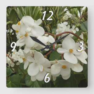Tropisches Weißes Begonia Floral Quadratische Wanduhr