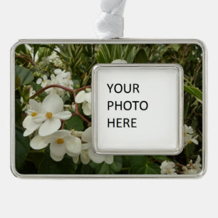 Tropisches Weißes Begonia Floral Rahmen-Ornament Silber