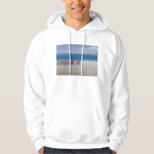 Trottenrennen Lancieux Bretagne 2014 Hoodie