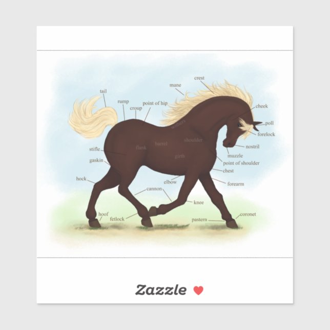 Trotting Rocky Mountain Pferde Equine Anatomie Cha Aufkleber (Blatt)