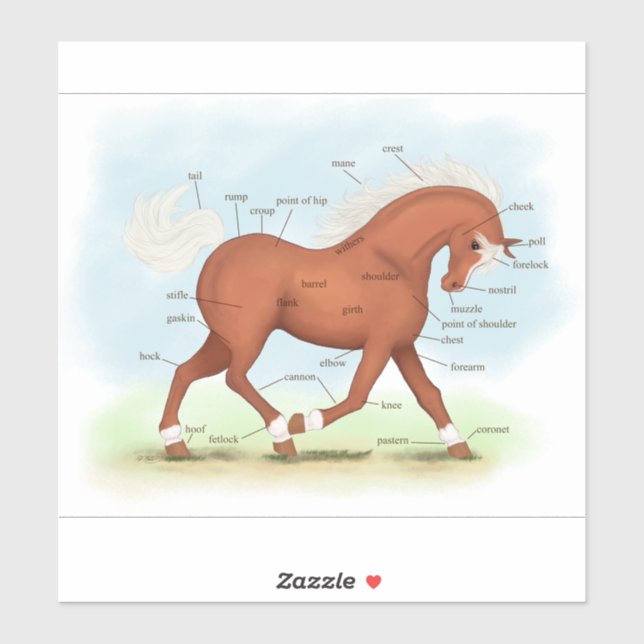 Trotting Sorrel Pferde Reittiere Anatomie Diagramm Aufkleber (Blatt)
