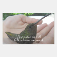Trotzdem Lebewesen Hummingbird