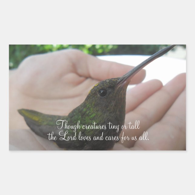 Trotzdem Lebewesen Hummingbird Rechteckiger Aufkleber (Vorderseite)
