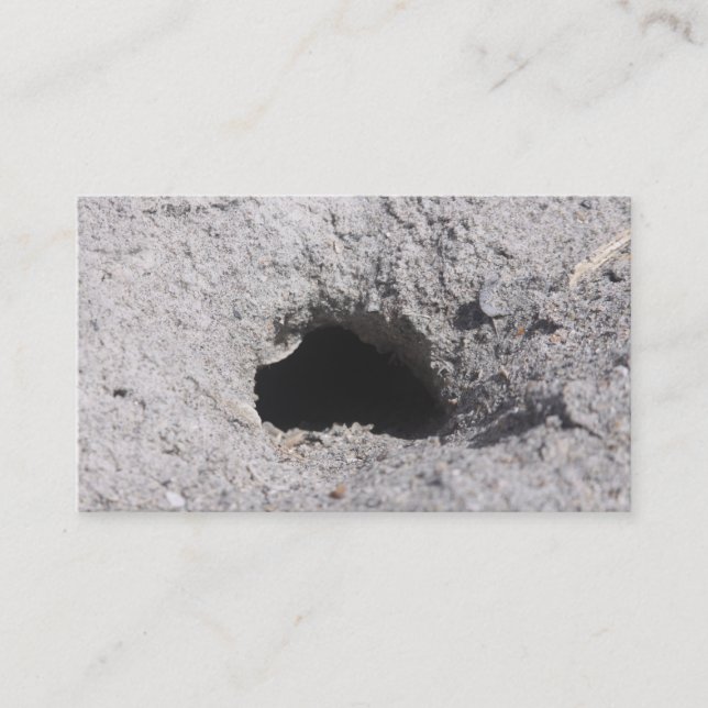 Trou dans le sable carte de visite (Devant)