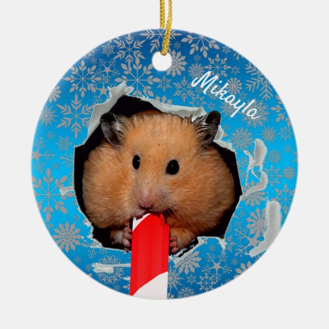 Trou Hamster Chews en ornement de Noël (Devant)