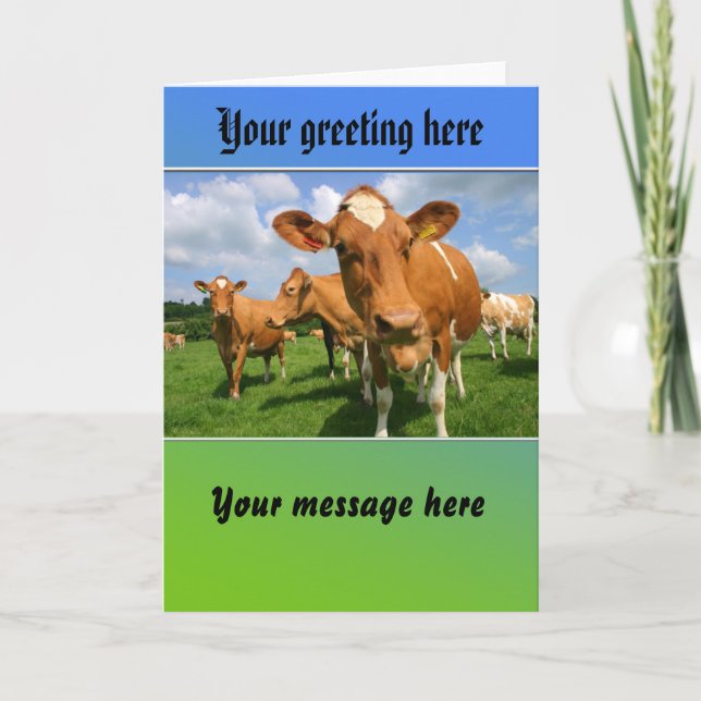 Troupeau de carte de voeux de vaches (Devant)