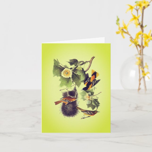 Troupial Oriole Audubon Birds Note Card Karte (Gelbe Blume)