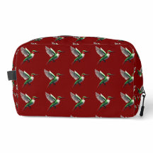 Colibri vert
