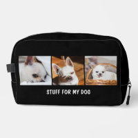 Votre chien de compagnie chihuahua photos personna