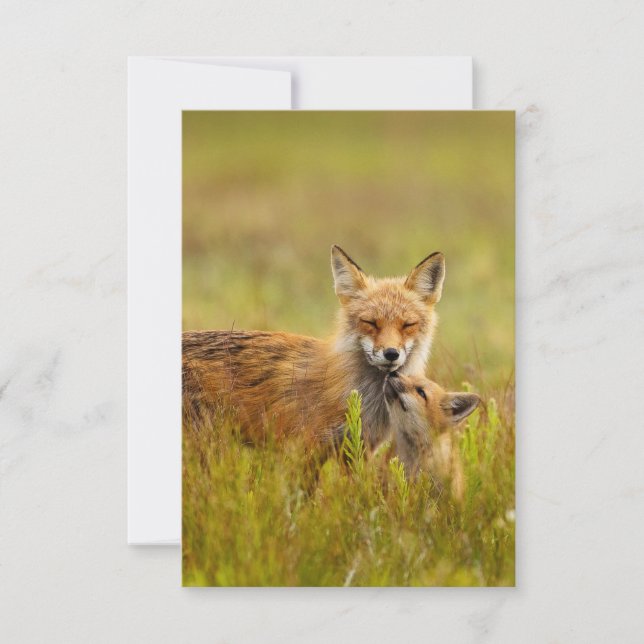 Trousse Red Fox Recherche de la carte de voeux Mom (Devant)