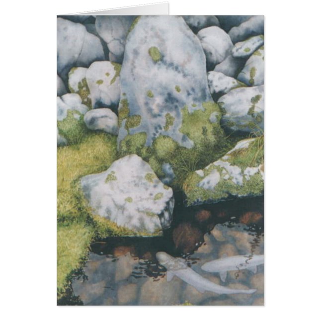 Trout Creek (Vorne)