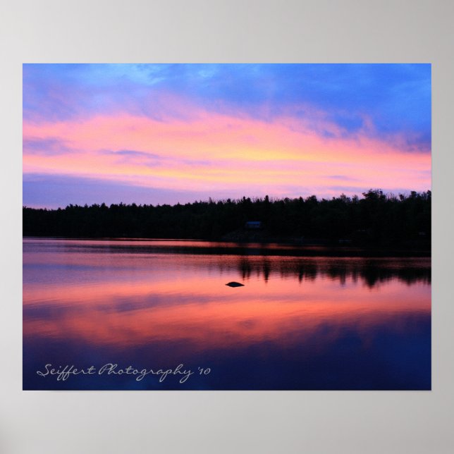 Trout Lake Series Poster (Vorne)