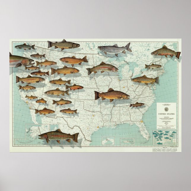 Trout Map der Vereinten Staaten (1999) Poster (Vorne)