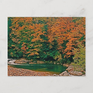 Trout Stream, West Virginia Postkarte