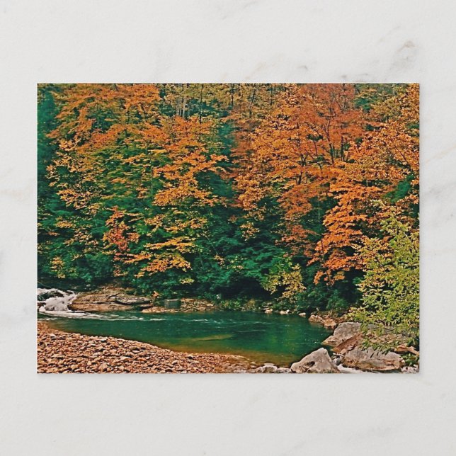 Trout Stream, West Virginia Postkarte (Vorderseite)