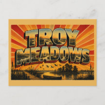 Troy Meadows New Jersey Süßwassermarsch Kunst