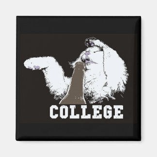 trucs sur mon chat - aimant