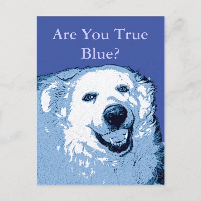 True Blue Dog Demokratische Postkarte (Vorderseite)
