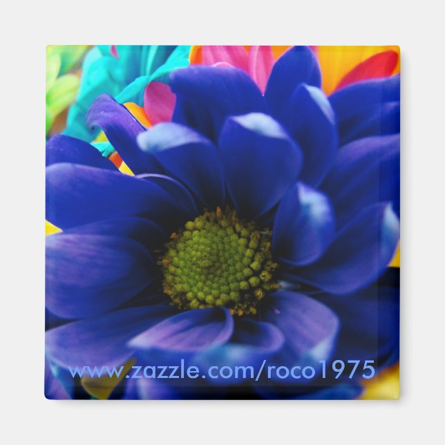 True Blue? Magnet (Vorne)