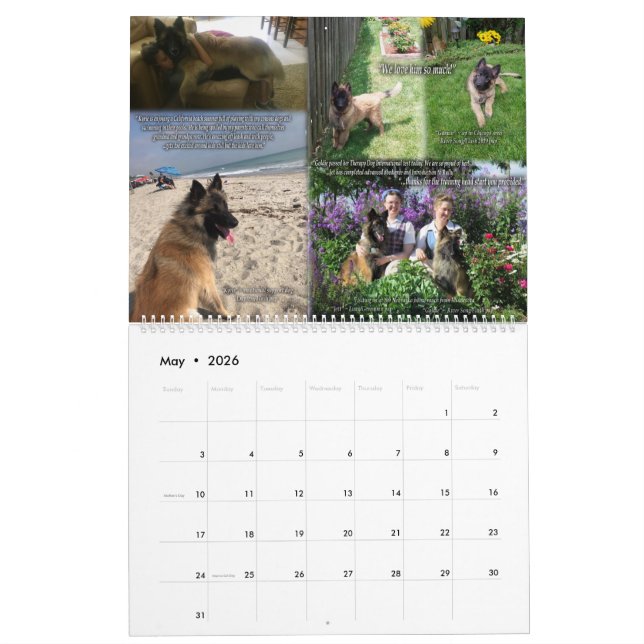 True Knight Tervuren Welppy Review Calendar 1 Kalender (Mai 2026)