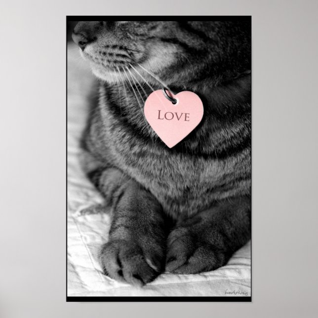 True Love Poster (Vorne)