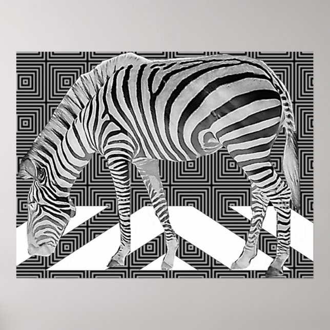 True Zebra Poster Print (Vorne)