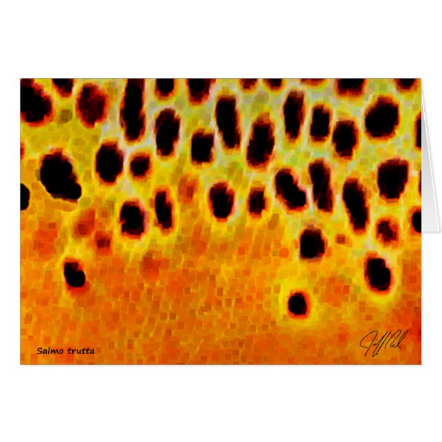 Truite Brown - carte (Devant horizontal)