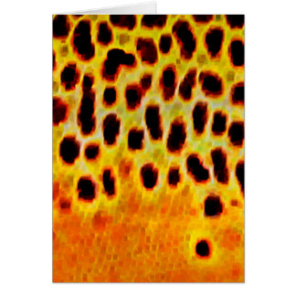 Truite Brown - carte