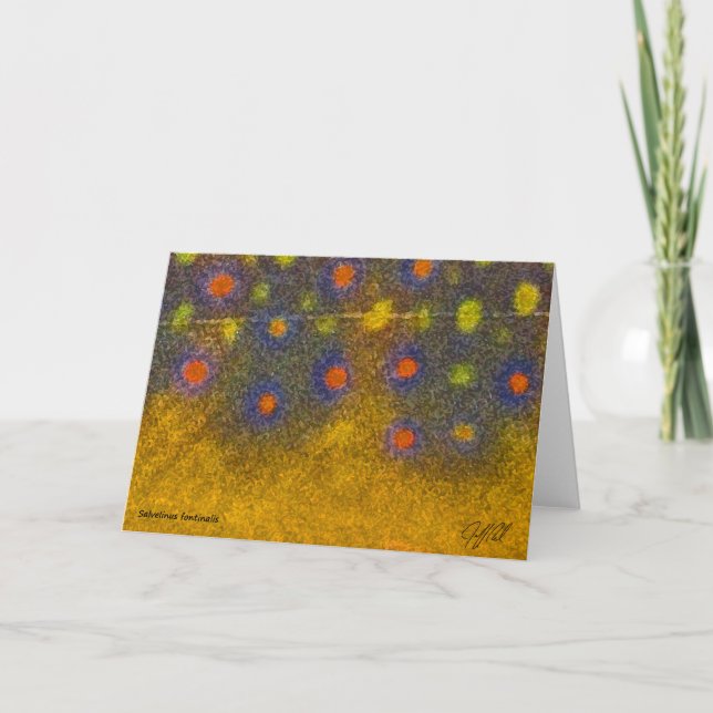 Truite de ruisseau - carte (Devant)