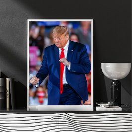 Trump Dance Funny Poster