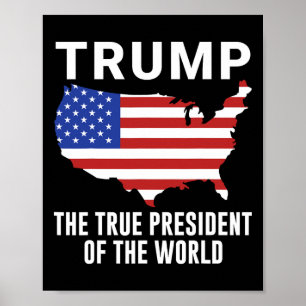 Trump Der Wahre Präsident Der Welt 1  Poster