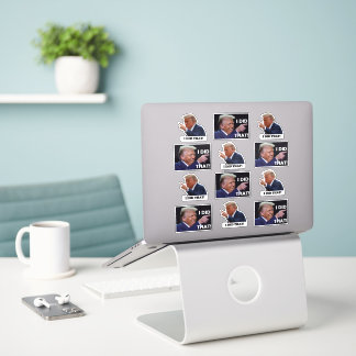 Trump did it 12 sticker sheet