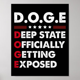 Trump Doge Deep State wird offiziell entlarvt  Poster