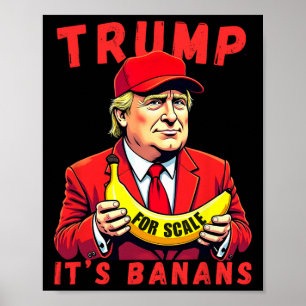Trump Es ist Nana (für Maßstäbe) Starship Poster