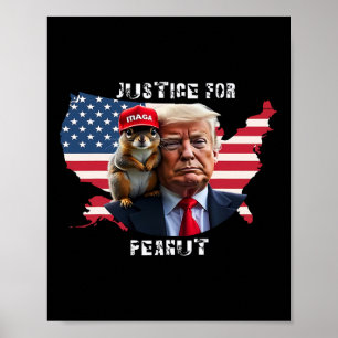 Trump für Erdnuss 4 Poster