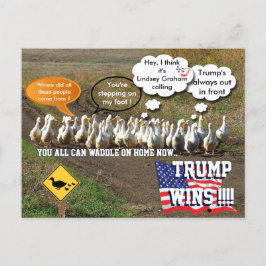 Trump gewinnt postkarte