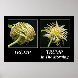 Trump Hair Poster