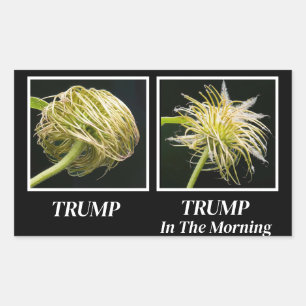 Trump Hair Rechteckiger Aufkleber