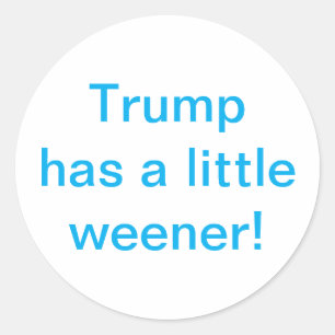 Trump hat einen kleinen Wiener Hankamer Artjunkhau Runder Aufkleber