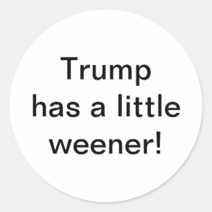 Trump hat einen kleinen Wiener Hankamer Artjunkhau Runder Aufkleber