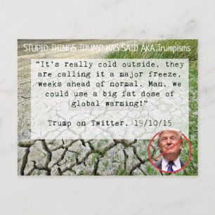 Trump hat "Postcard Souvenir" gesagt Postkarte
