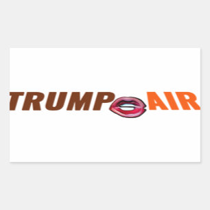 Trump Hot Air Cartoon Clear Rechteckiger Aufkleber